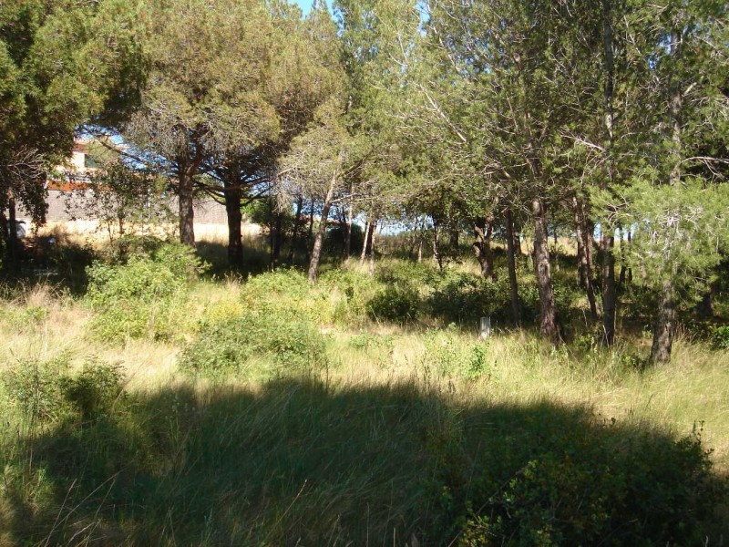 LAND WITH SEA VIEW IN S'AGARÓ (LA CONCA)   (Ref. 325)